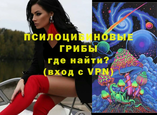 мдпв Кинешма