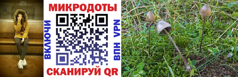 Псилоцибиновые грибы GOLDEN TEACHER  где можно купить наркотик  Купино 